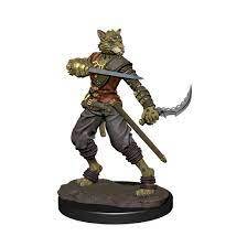 Icons of the Realms Tabaxi Rogue